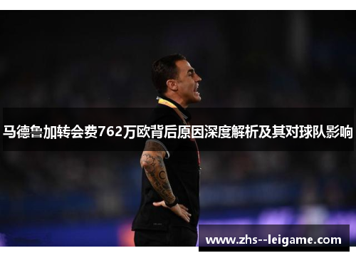 马德鲁加转会费762万欧背后原因深度解析及其对球队影响