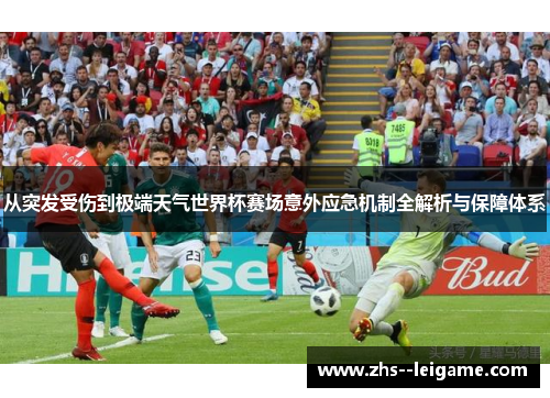 从突发受伤到极端天气世界杯赛场意外应急机制全解析与保障体系